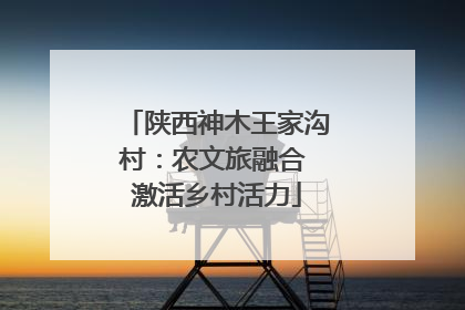 陕西神木王家沟村：农文旅融合 激活乡村活力